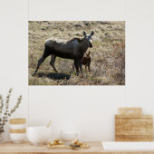 Alaskan Koe Moose met Calf Poster (Keuken)