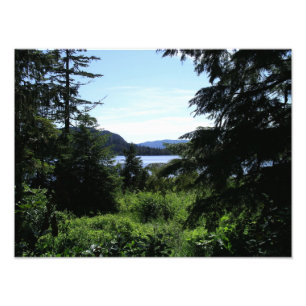 Alaskan Landscape Beauful Alaska-fotografie Foto Afdruk