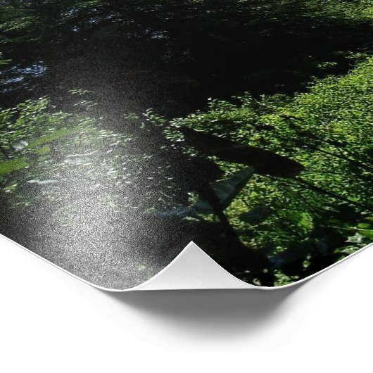 Alaskan Landscape Beauful Alaska-fotografie Foto Afdruk (Hoek)