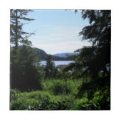 Alaskan Landscape Beauful Alaska-fotografie Tegeltje (Voorkant)