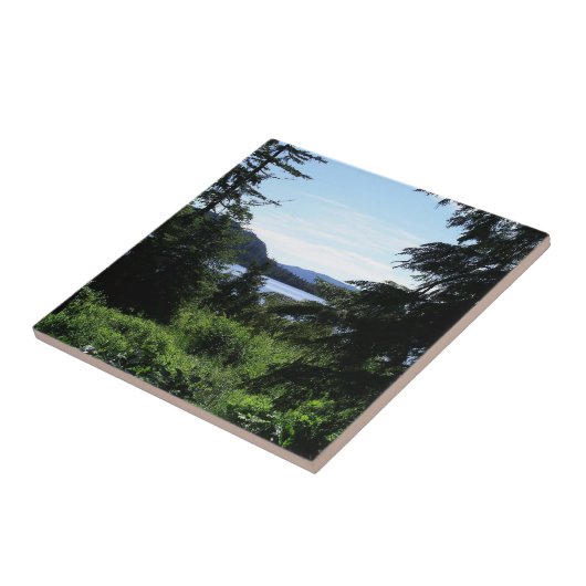 Alaskan Landscape Beauful Alaska-fotografie Tegeltje (Zijkant)