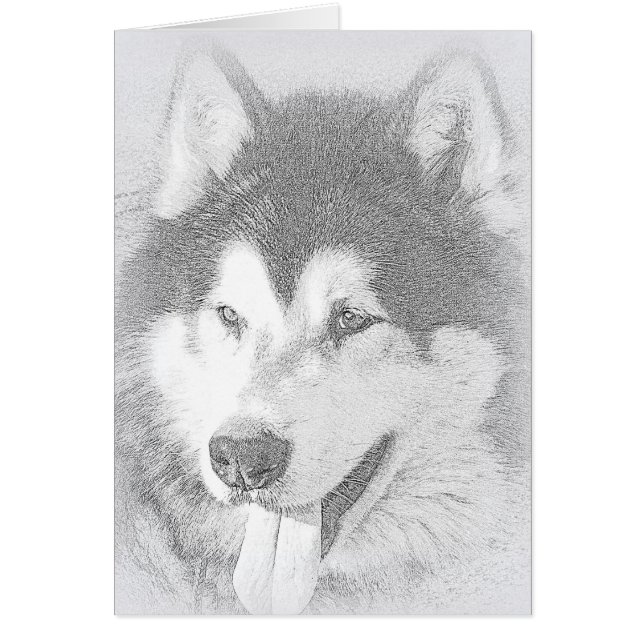 Alaskan Malamute (Voorkant)