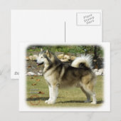 Alaskan Malamute 9R034D-463 Briefkaart (Voorkant / Achterkant)