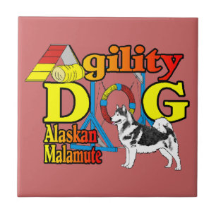 Alaskan Malamute Agility Tegeltje
