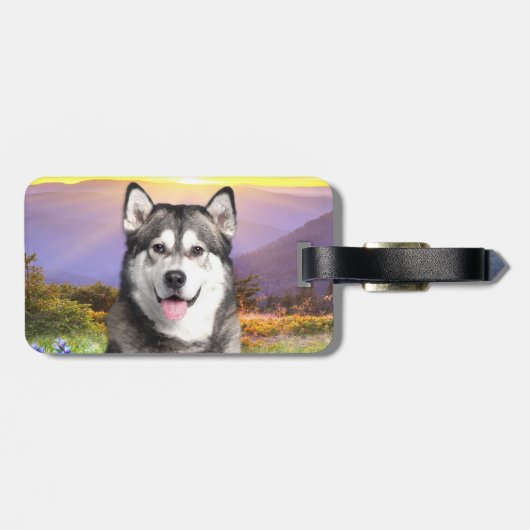 Alaskan Malamute Bagagelabel (Achterkant horizontaal)