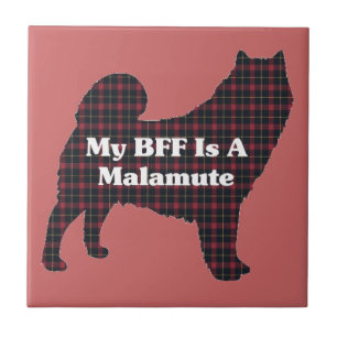 Alaskan Malamute BFF Tegeltje
