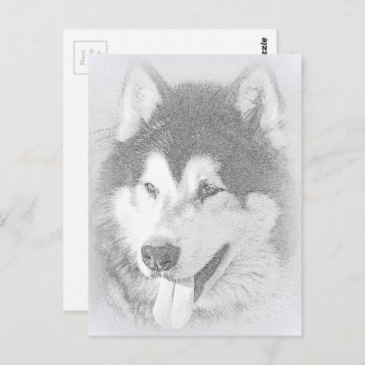 Alaskan Malamute Briefkaart (Voorkant / Achterkant)