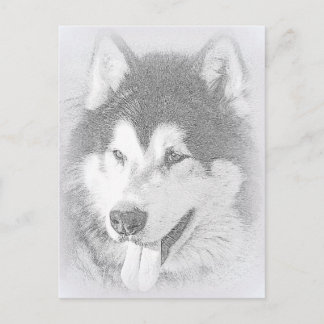 Alaskan Malamute Briefkaart