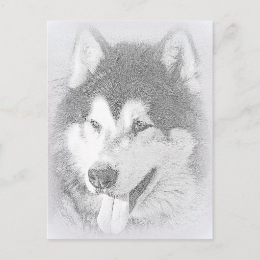 Alaskan Malamute Briefkaart (Voorkant)