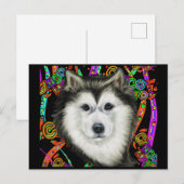 Alaskan Malamute Briefkaart (Voorkant / Achterkant)