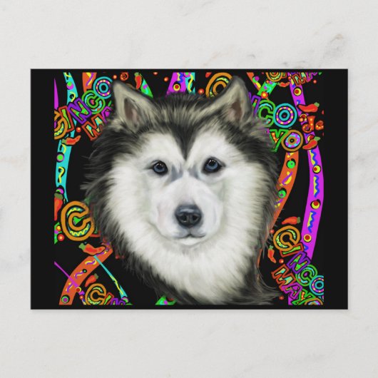 Alaskan Malamute Briefkaart (Voorkant)