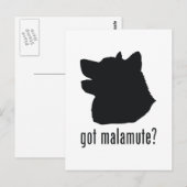 Alaskan Malamute Briefkaart (Voorkant / Achterkant)
