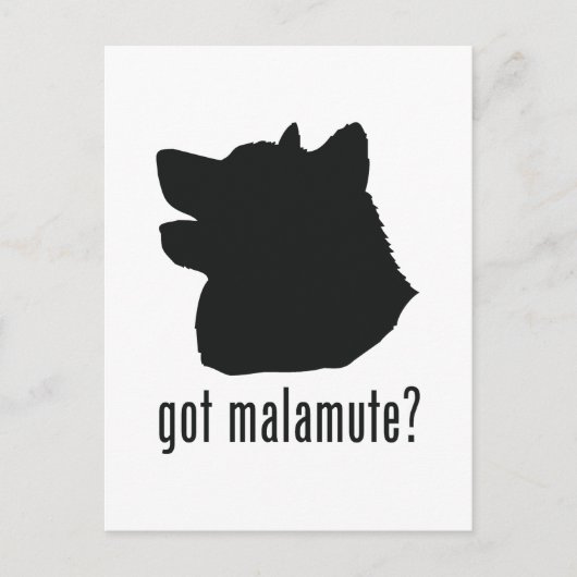 Alaskan Malamute Briefkaart (Voorkant)
