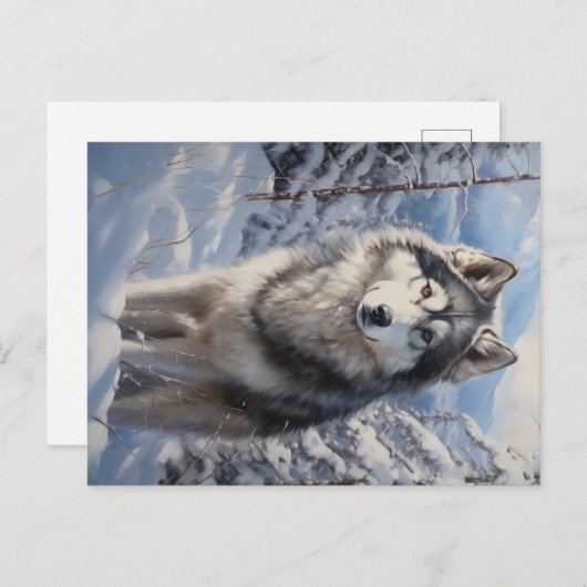 Alaskan Malamute Briefkaart (Voorkant / Achterkant)