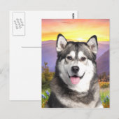Alaskan Malamute Briefkaart (Voorkant / Achterkant)