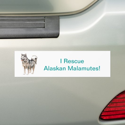 Alaskan Malamute Bumpersticker (Op auto)