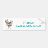 Alaskan Malamute Bumpersticker (Voorkant)