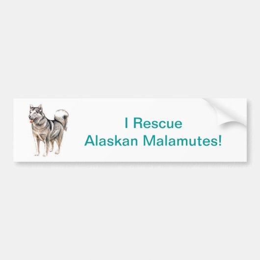 Alaskan Malamute Bumpersticker (Voorkant)