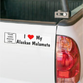 Alaskan Malamute Bumpersticker (Op Truck)