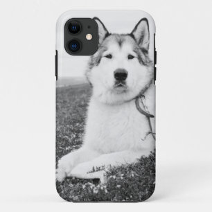 alaskan-malamute bw.png Case-Mate iPhone case