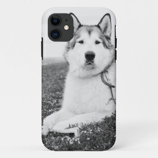 alaskan-malamute bw.png Case-Mate iPhone case (Achterkant)