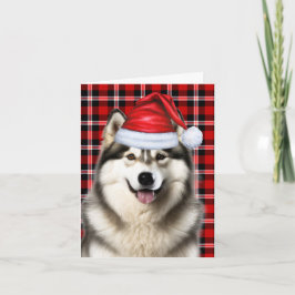 Alaskan Malamute Christmas Dog Holiday Plaid Feestdagen Kaart