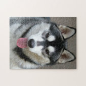 Alaskan Malamute Dog Face Foto Legpuzzel (Horizontaal)