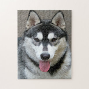 Alaskan Malamute Dog Foto Legpuzzel
