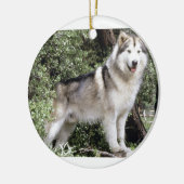 Alaskan Malamute Dog Keramisch Ornament (Links)