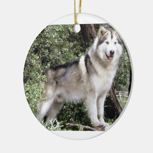 Alaskan Malamute Dog Keramisch Ornament (Links)