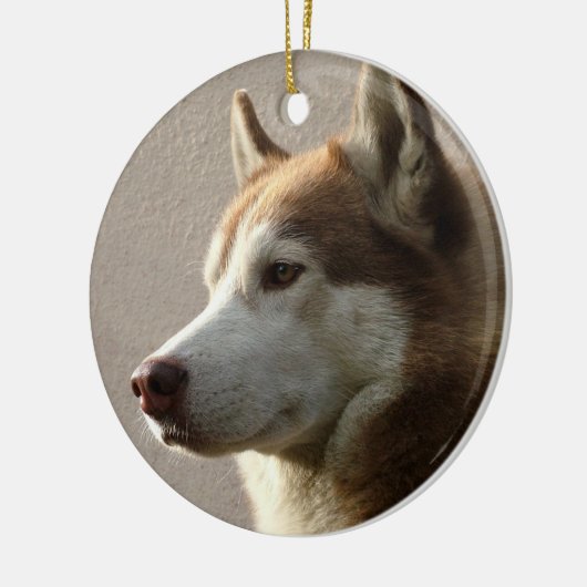 Alaskan Malamute Dog Keramisch Ornament (Links)