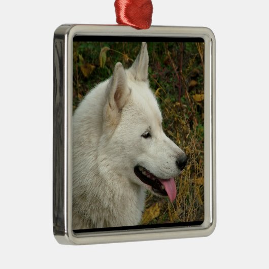 Alaskan Malamute Dog Metalen Ornament (Rechts)