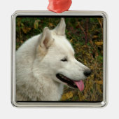 Alaskan Malamute Dog Metalen Ornament (Voorkant)