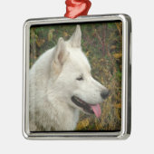 Alaskan Malamute Dog Metalen Ornament (Links)