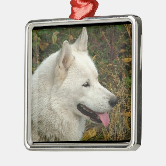 Alaskan Malamute Dog Metalen Ornament (Links)