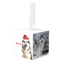 Alaskan Malamute Dog Twee Foto Kerstvakantie Decoratie