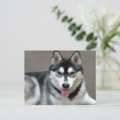 Alaskan Malamute Dogs Briefkaart (Staand voorkant)