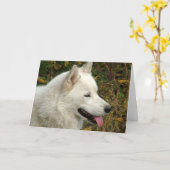 Alaskan Malamute Dogs Kaart (Gele Bloem)