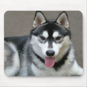 Alaskan Malamute Dogs Muismat (Voorkant)