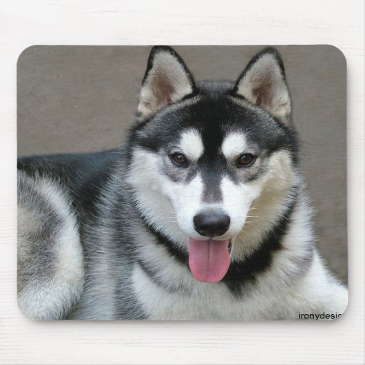 Alaskan Malamute Dogs Muismat (Voorkant)