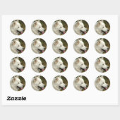 Alaskan Malamute Dogs Ronde Sticker (Vel)