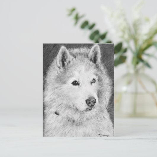 Alaskan Malamute Drawing Briefkaart (Staand voorkant)