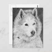 Alaskan Malamute Drawing Briefkaart (Voorkant / Achterkant)