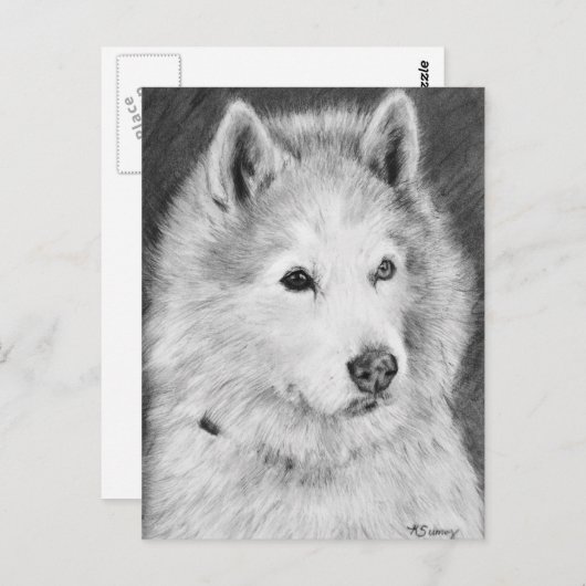Alaskan Malamute Drawing Briefkaart (Voorkant / Achterkant)