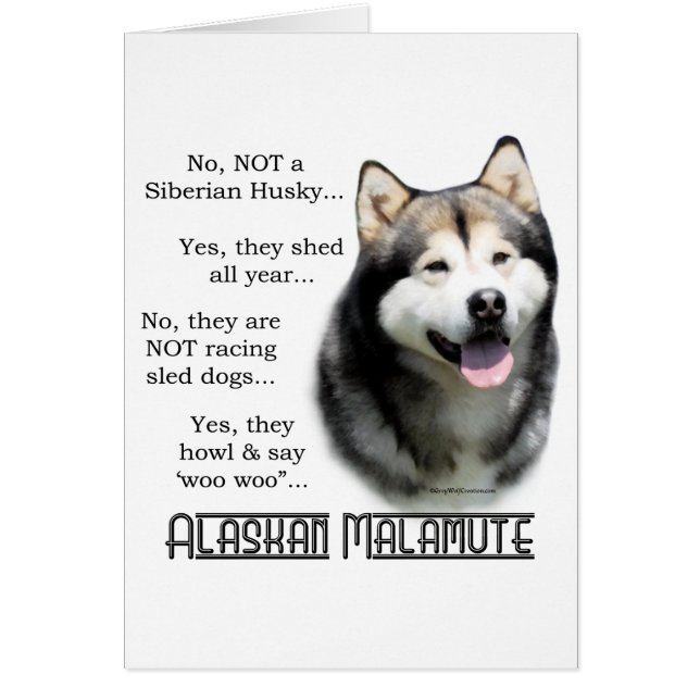 Alaskan Malamute FAQ (Voorkant)