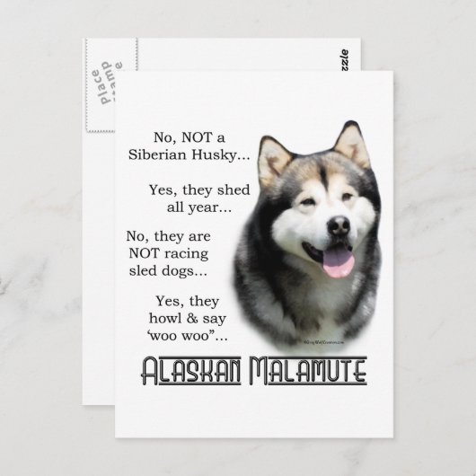 Alaskan Malamute FAQ Briefkaart (Voorkant / Achterkant)