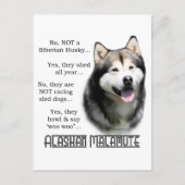 Alaskan Malamute FAQ Briefkaart (Voorkant)