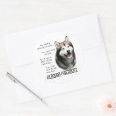 Alaskan Malamute FAQ Sticker (Envelop)