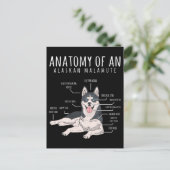 Alaskan Malamute Funny Dog Owner Briefkaart (Staand voorkant)