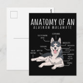 Alaskan Malamute Funny Dog Owner Briefkaart (Voorkant / Achterkant)